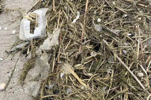 Zwerfafval inzichtelijk maken met het Zwerfafvalkompas